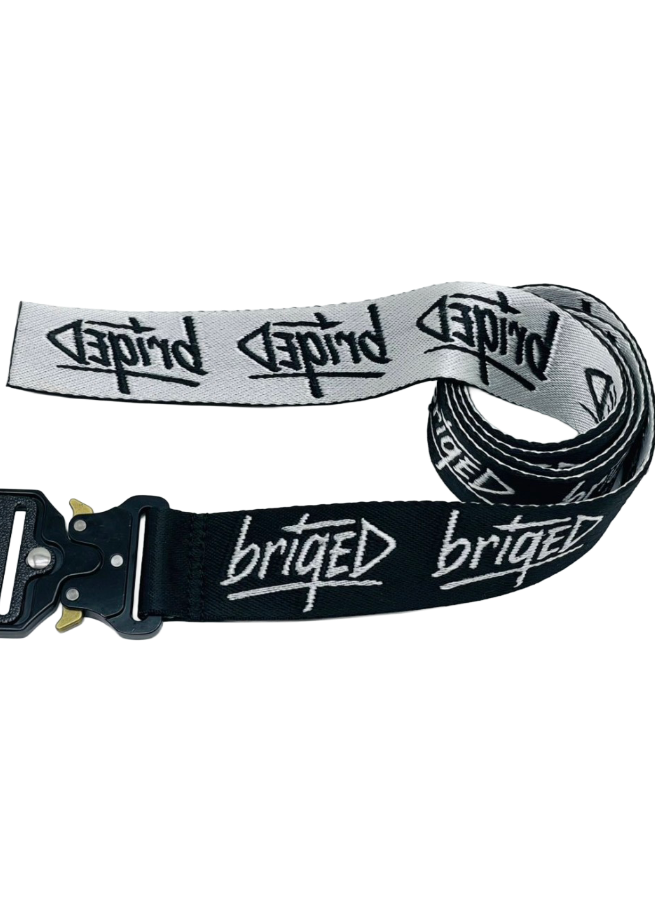 Briqed Belt
