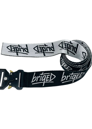 Briqed Belt
